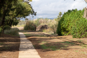 Tracks for a tourist mini train at Ilha de Tavira connecting Barril Beach with Pedras del Rei in the Algarve of Portugal