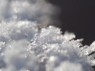 white snow and ice in the forest. winter