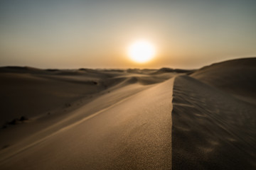 Fototapeta na wymiar Dunes red desert abu dhabi dubai sunset sundown 