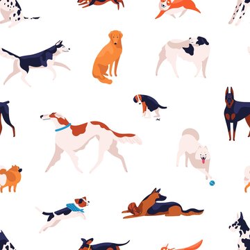 Seamless pattern with different dogs breed isolated on white background