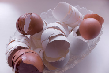 Egg shells in a glass plate. Broken empty shell without the innards. Lots of cracked empty chicken eggs.