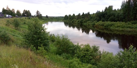 Obraz premium river in the forest