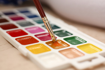 Brush point in watercolor paint closeup concept