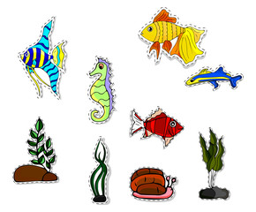 Obraz premium Set of five aquarium fish. Bright colorful flat fish. Illustrations for children's books and encyclopedias.