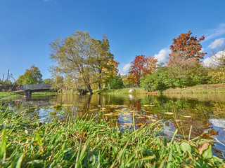 river in the park. autumn
