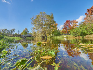river in the park. autumn