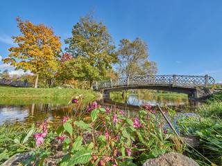 river in the park. autumn