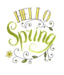 Hello spring. Handwritten lettering on white background isolated, modern brush pen lettering