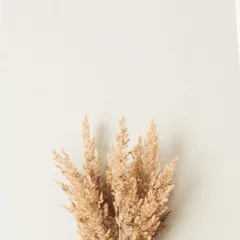 Schilfblatt verzweigt sich Blumenstrauß auf neutralem pastellbeigem Hintergrund. © Floral Deco