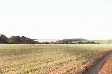 Fototapeta na wymiar wheat field after harvest in summer in the sun