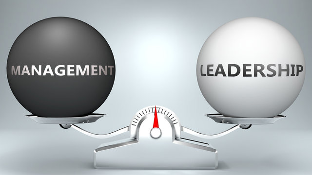 Management and leadership in balance - pictured as a scale and words Management, leadership - to symbolize desired harmony between Management and leadership in life, 3d illustration