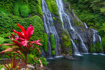 Banyumala twin waterfalls in Bali, Indonesien © franzeldr