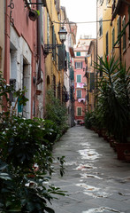 Narrow alley with colorful buildings in Carrara
