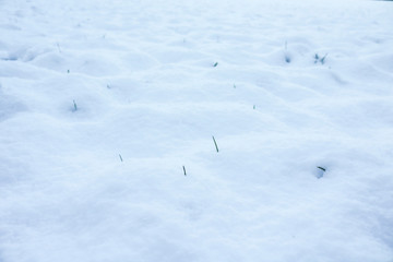 La neve in inverno, natura e stagioni 