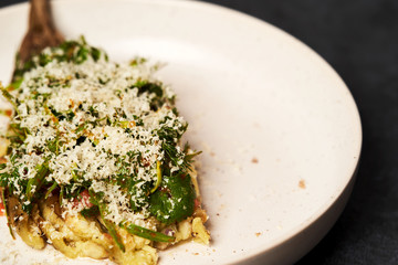 Baked eggplant with Grated cheese and herbs, close-up
