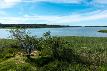 Beach landscape in Piikkiö, Finland