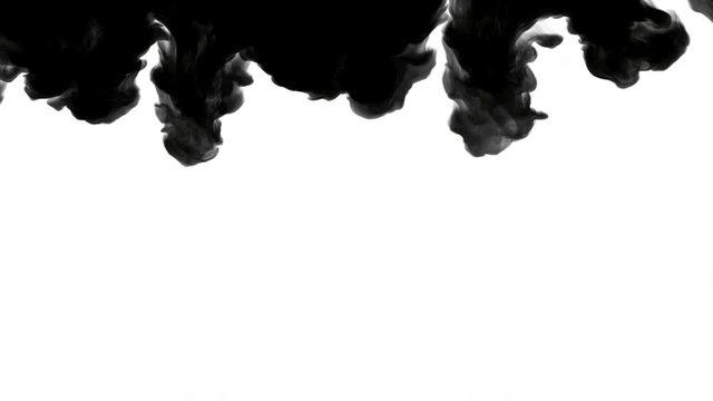 The ink stain of cuttlefish dissolves in water.