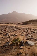 Gordijnen Strandlandschap - Cofete, Fuerteventura, Canarische Eilanden. Perfecte plek voor de kustliefhebbers. Toeristische vakantiebestemming, achtergrond, kopieer ruimte. © JoannaTkaczuk