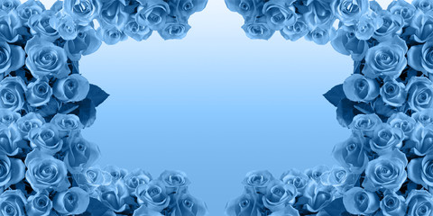 Floral frame of  roses on a gradient background with copy space toned in trendy classic blue color 2020