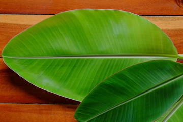banana leaf texture on wooden background. top view
