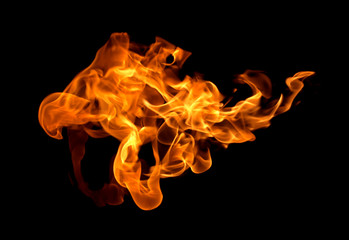 Fire flames on a black background
