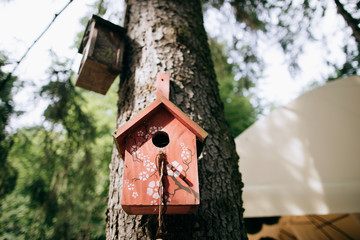 beautiful red birdhouse on tree, garden decoration