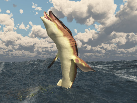 Prähistorischer Hai Edestus springt aus dem Wasser