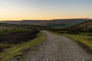 Fototapeta premium Yorkshire Dales landscape near Grinton, North Yorkshire, England, UK