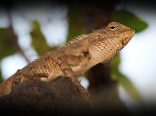 No one can hit their target with their eyes closed.