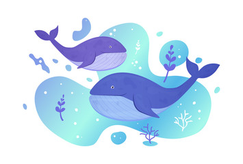 Two whales in the sea. Ocean fish. Underwater marine wild life. Vector illustration.