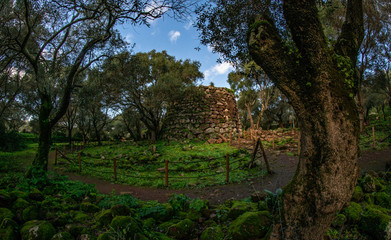 bosco, alberi, nuraghe, santa cristina