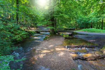 Brücke über den Eifgenbach im Eifgenbachtal