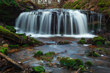Obraz premium waterfall in the forest