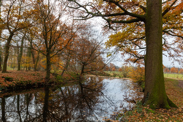 Autumn view in the forest of Pietersheim in Lanaken part of the National park Connecterra with reflections of the trees in the water. 