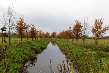 Obraz premium Autumn view in the forest of Pietersheim in Lanaken part of the National park Connecterra with reflections of the trees in the water. 