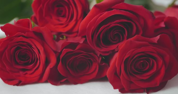 Hands lay out fresh blossoms of fresh red scarlet roses on white surface. Saint Valentines day anniversary relations wedding celebration concept. Someone puts bouquet of roses on bed