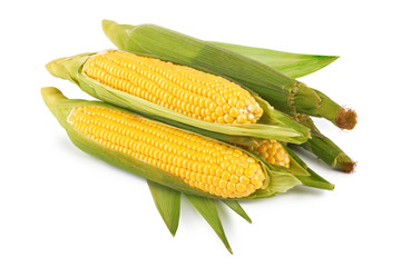 fresh corn vegetable