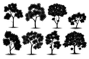 collection of Black big tree Symbol style and white background.Can be used for your work.
