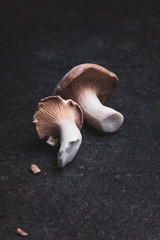 Oyster mushroom on wooden table