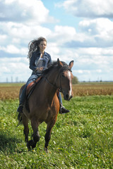Fototapeta premium girl in jeans rides a horse in a field in summer