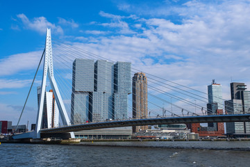 Blick auf die Erasmusbrücke in Rotterdam/NL
