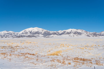 Snow mountain and snow field grassland near by the Xinjiang China Sayram lake. Winter season.