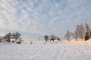 Rural winter landscape in snow.