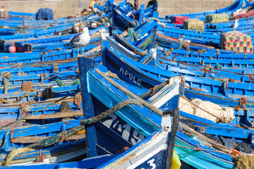 Fototapeta na wymiar Fishing boats in the ancient port of Essaouira