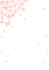 春の桜フレーム