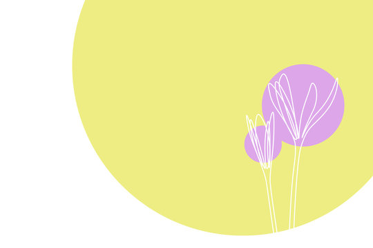 Abstract colorful spring background with minimalist single line crocus flowers. Vector illustration