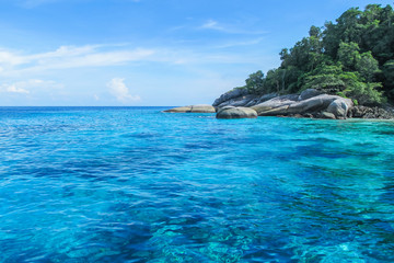 Naklejka premium The water is clear until seeing the coral reef. At the Similan Islands, Phang Nga, Thailand