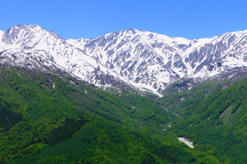 Fototapeta na wymiar 中部山岳国立公園、北アルプス、白馬岳。白馬、長野、日本。5月下旬。