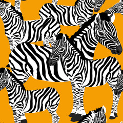 Fototapeta na wymiar Zebra's seamless pattern. Vector illustration of zebras on orange background