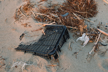 Plastic box waste on wild sea coast, sunset time,pollution in cilento italy 